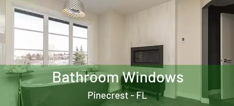  Bathroom Windows Pinecrest - FL