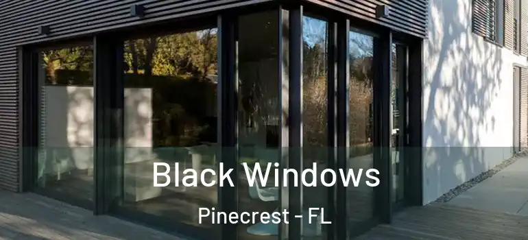  Black Windows Pinecrest - FL