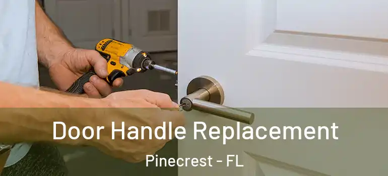  Door Handle Replacement Pinecrest - FL