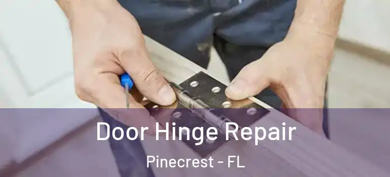  Door Hinge Repair Pinecrest - FL