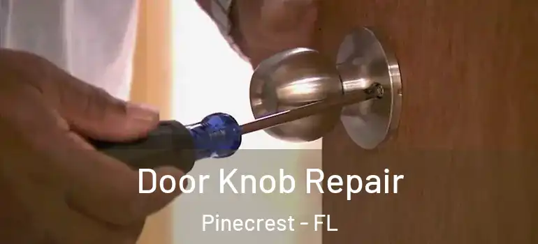  Door Knob Repair Pinecrest - FL