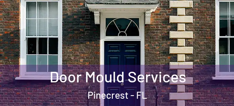  Door Mould Services Pinecrest - FL