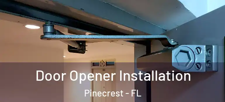  Door Opener Installation Pinecrest - FL
