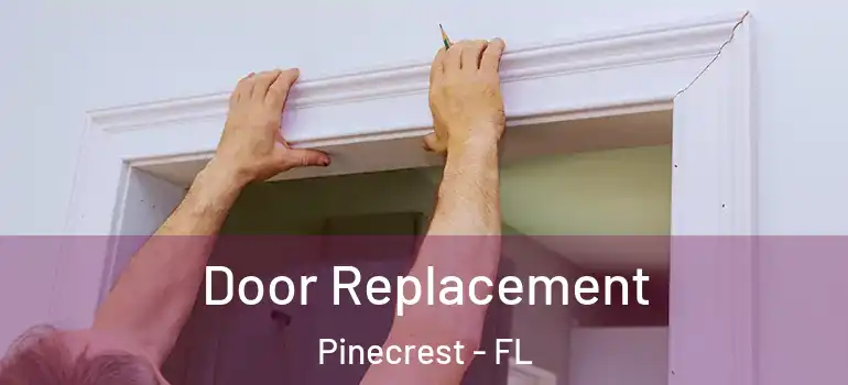  Door Replacement Pinecrest - FL
