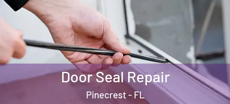  Door Seal Repair Pinecrest - FL