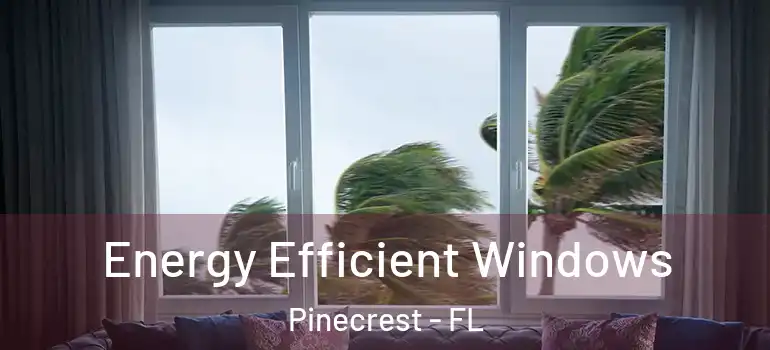  Energy Efficient Windows Pinecrest - FL