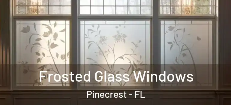  Frosted Glass Windows Pinecrest - FL