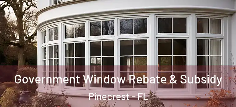  Government Window Rebate & Subsidy Pinecrest - FL