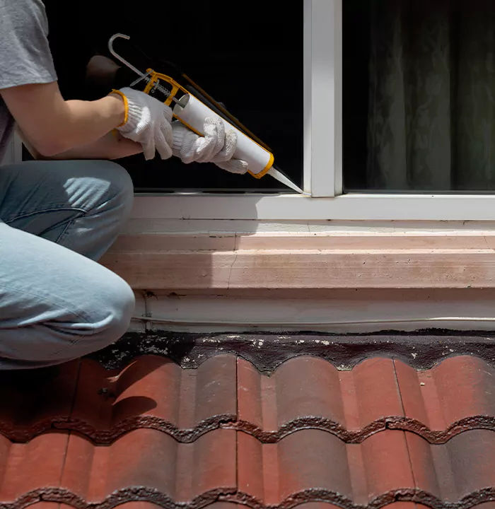 Roof Window Services in Pinecrest, Florida