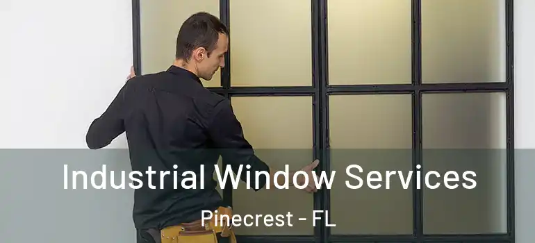  Industrial Window Services Pinecrest - FL