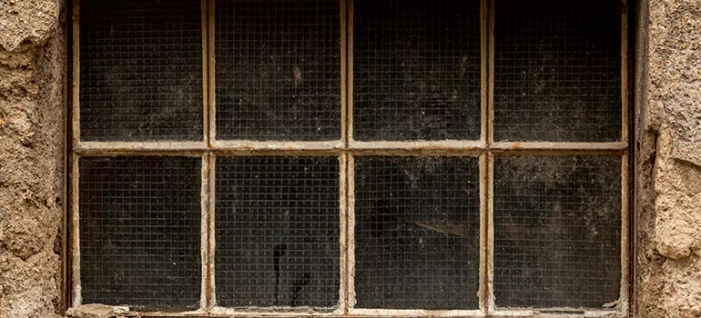 Traditional Double Front Doors in Pinecrest, FL