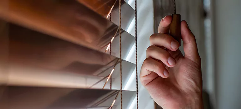 Double Roller Blinds in Pinecrest, FL