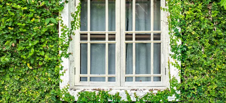 Garden Window Repair Near Me in Pinecrest, FL