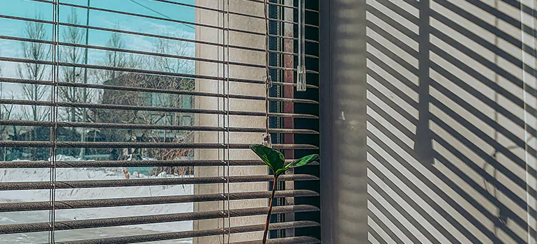 Commercial Window Blinds in Pinecrest, FL