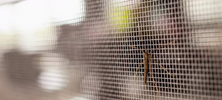 Repair Mosquito Mesh For Windows in Pinecrest, FL