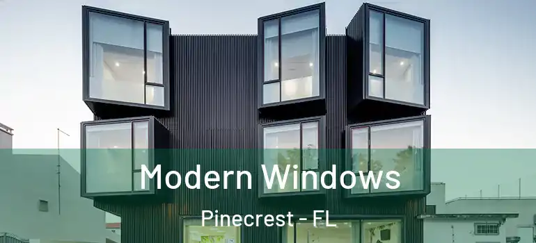  Modern Windows Pinecrest - FL