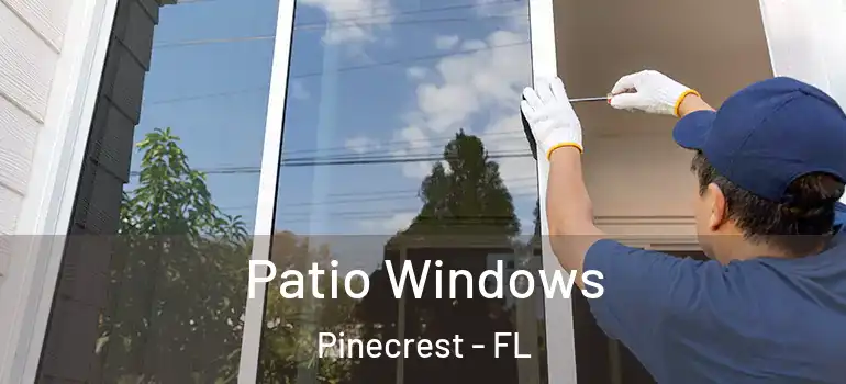  Patio Windows Pinecrest - FL