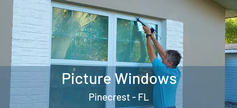  Picture Windows Pinecrest - FL