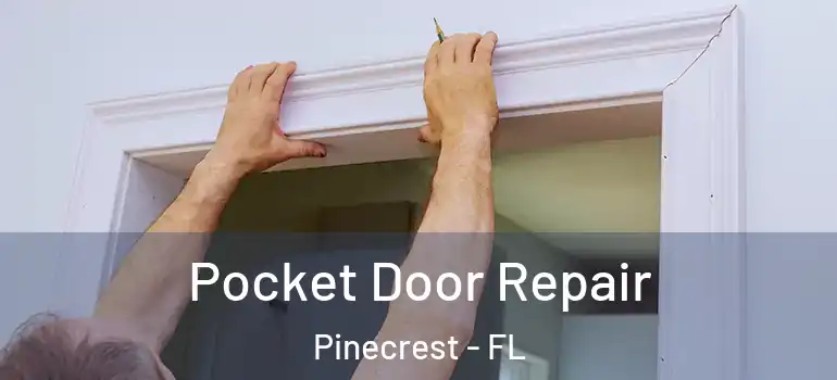  Pocket Door Repair Pinecrest - FL