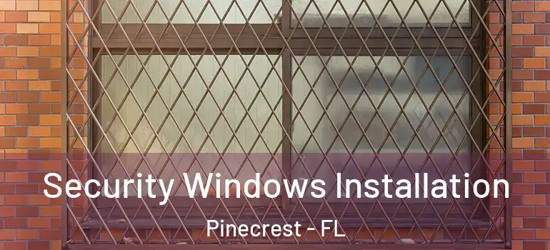  Security Windows Installation Pinecrest - FL