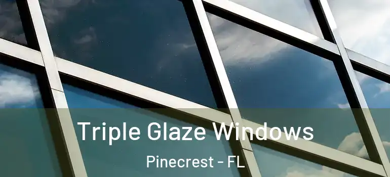  Triple Glaze Windows Pinecrest - FL