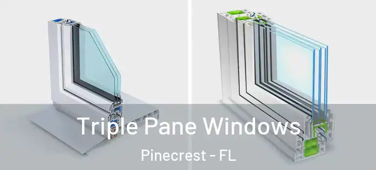  Triple Pane Windows Pinecrest - FL