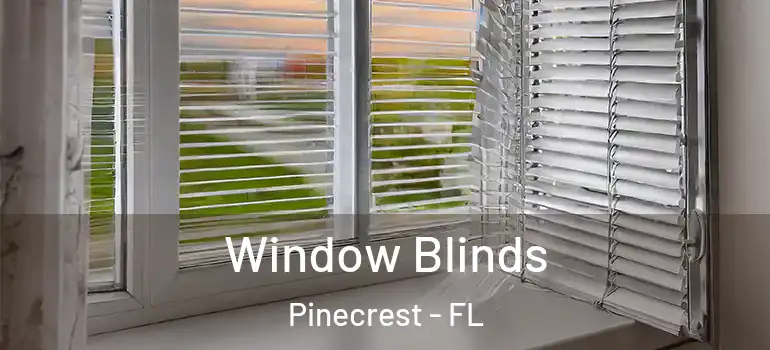  Window Blinds Pinecrest - FL