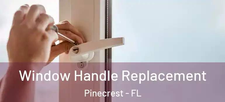  Window Handle Replacement Pinecrest - FL