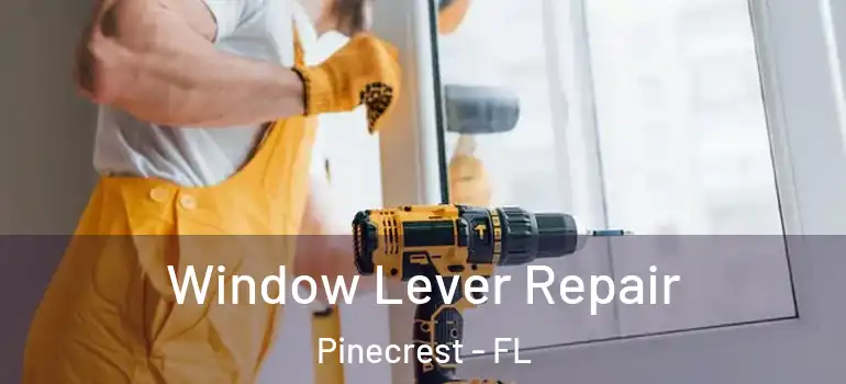  Window Lever Repair Pinecrest - FL