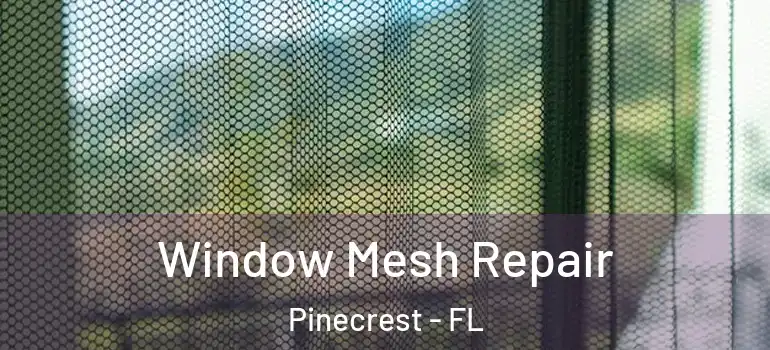  Window Mesh Repair Pinecrest - FL