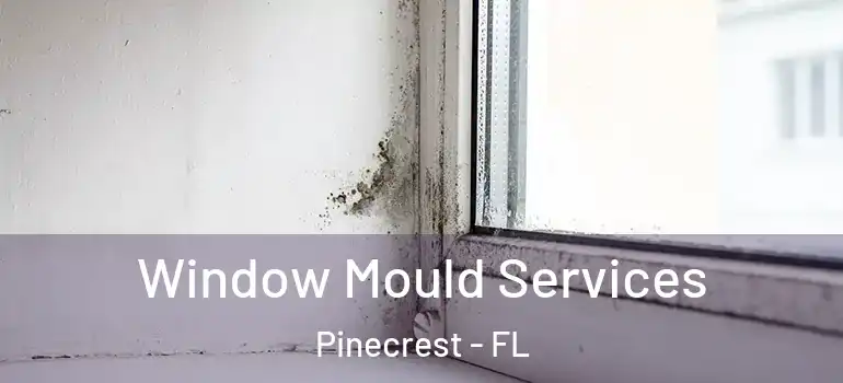  Window Mould Services Pinecrest - FL