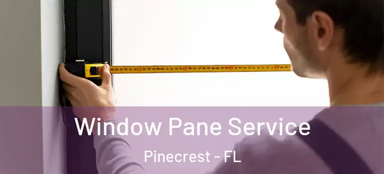  Window Pane Service Pinecrest - FL