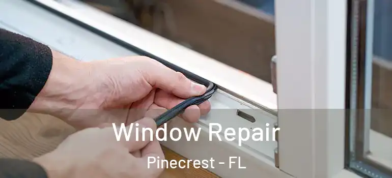  Window Repair Pinecrest - FL