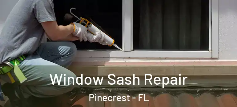  Window Sash Repair Pinecrest - FL