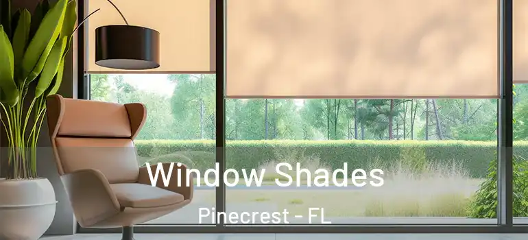  Window Shades Pinecrest - FL
